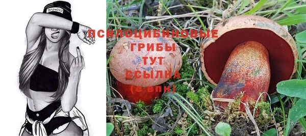 ГАЛЛЮЦИНОГЕННЫЕ ГРИБЫ Алзамай