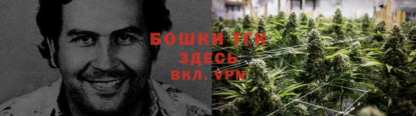 каннабис Алексеевка