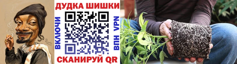Шишки марихуана Amnesia  Приморск 